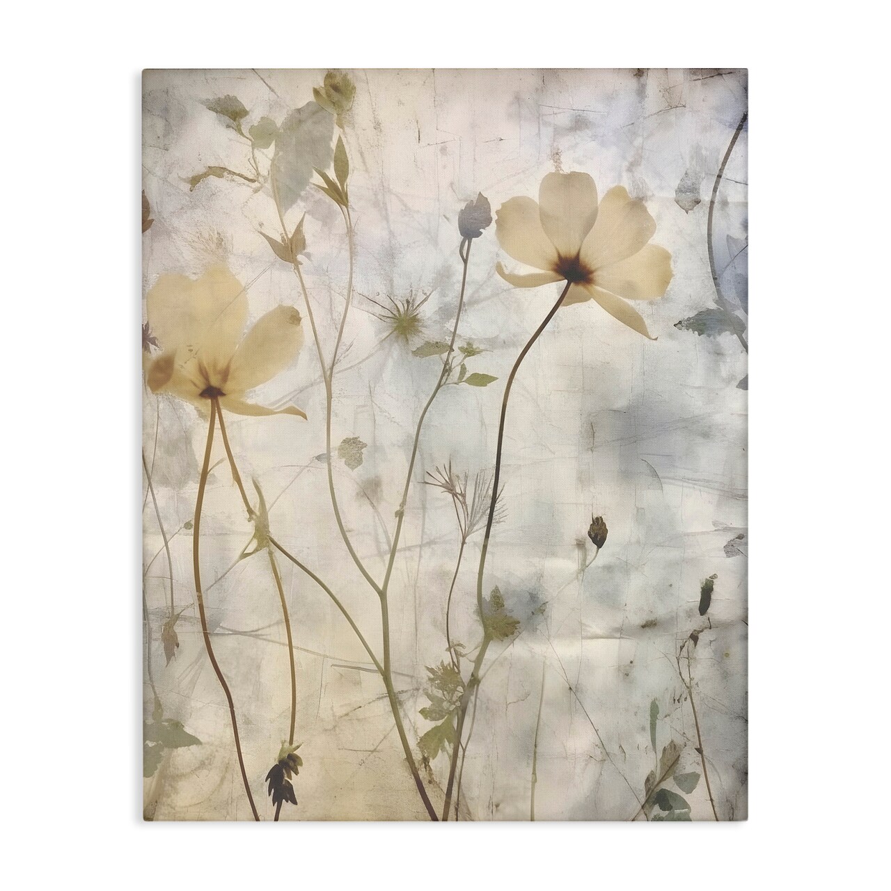 Stupell Industries Soft Neutral Botanicals Canvas Wall Art Design by Lettered and Lined